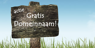 Actie: Gratis domeinnaam